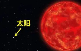 莎拉波娃携手姚迪战意甲球迷热议(莎拉波娃宣布订婚)
